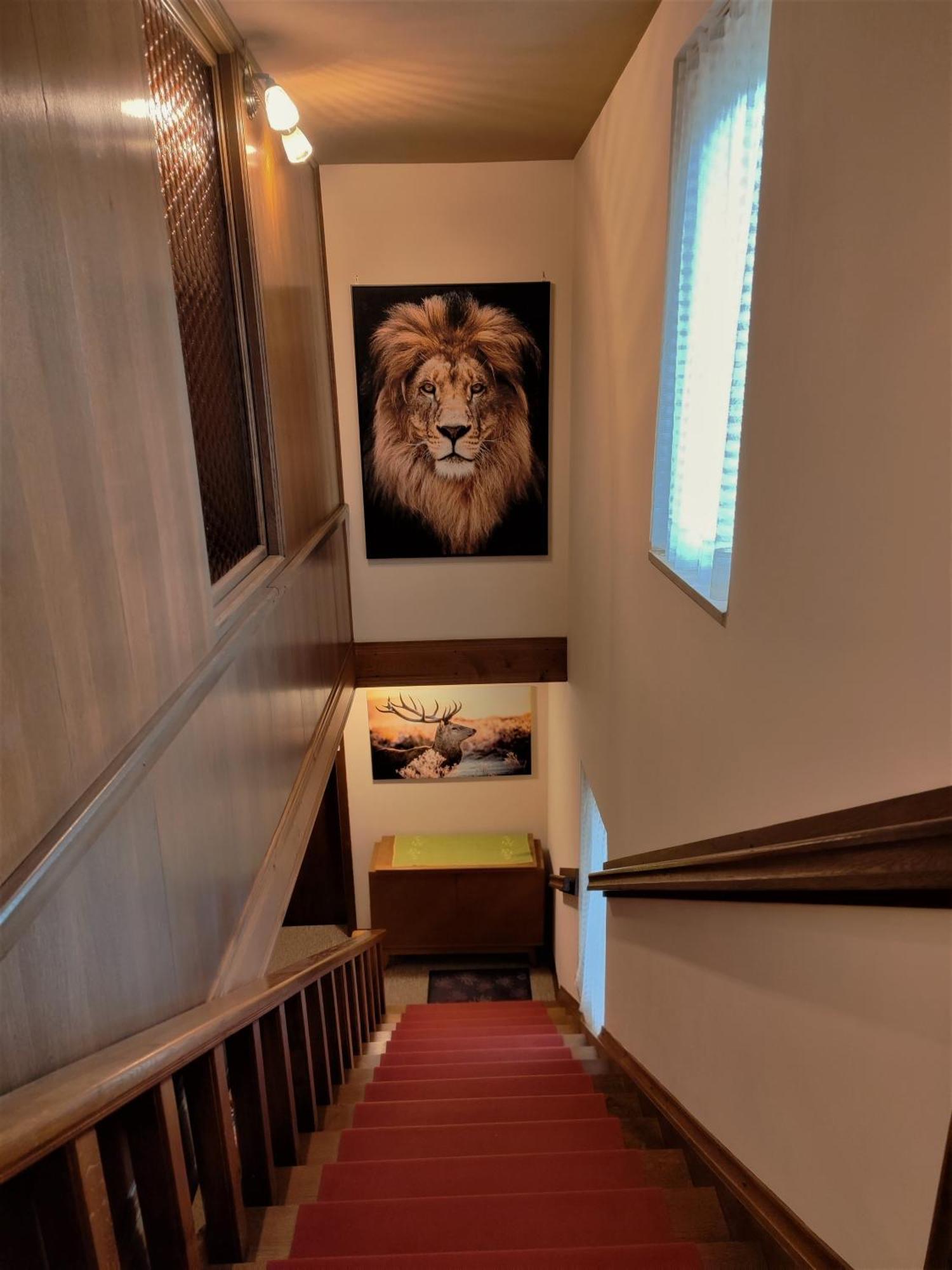 Tourist House Capricorn Διαμέρισμα Μπλεντ Εξωτερικό φωτογραφία